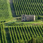 The Most Sustainable and Organic Wine Producers