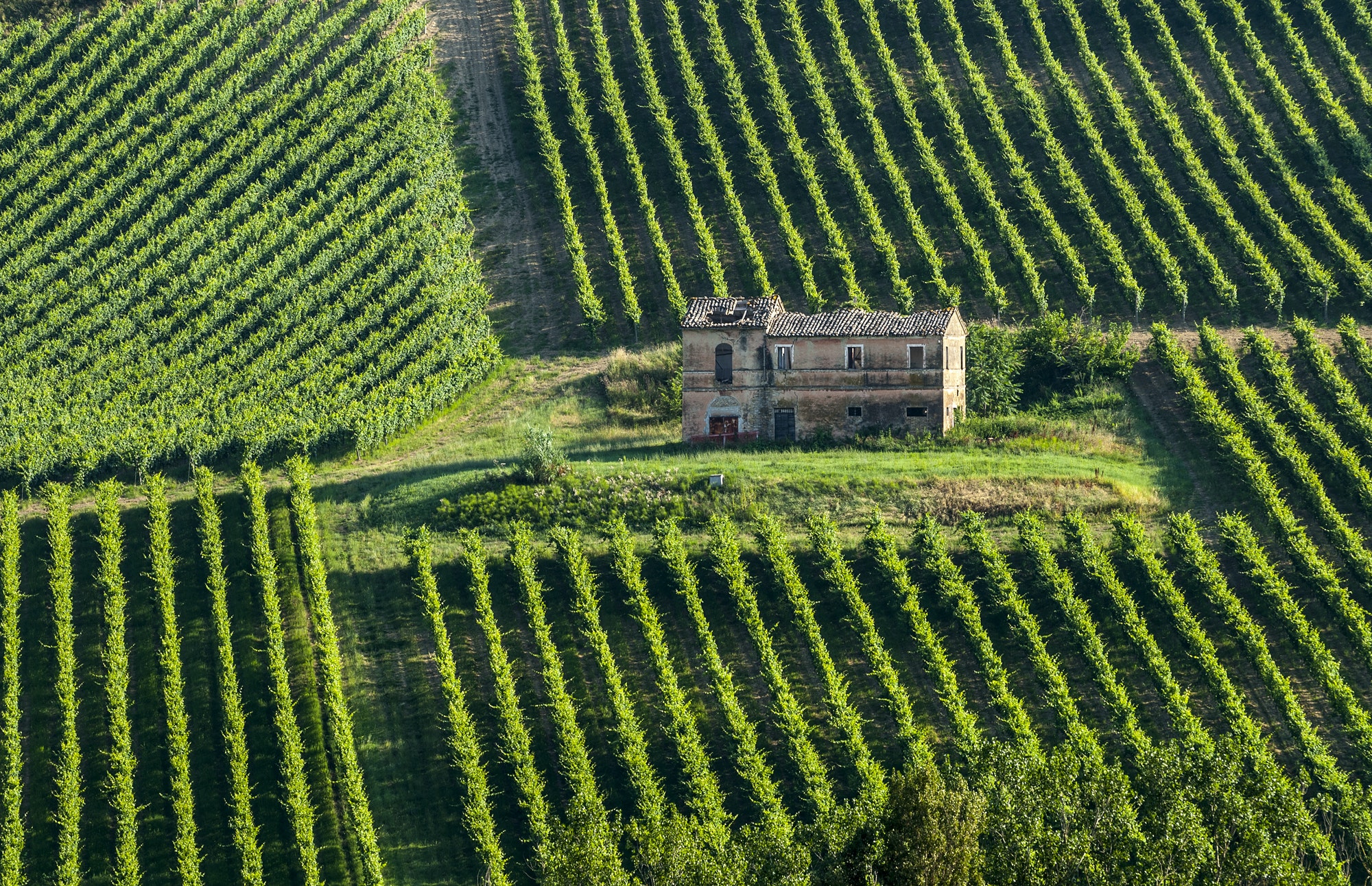 Farm in Italy