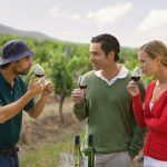 Planning the Cheapest Wine Destination Trips for Global Fun